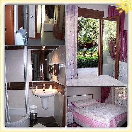 Violet Alanya