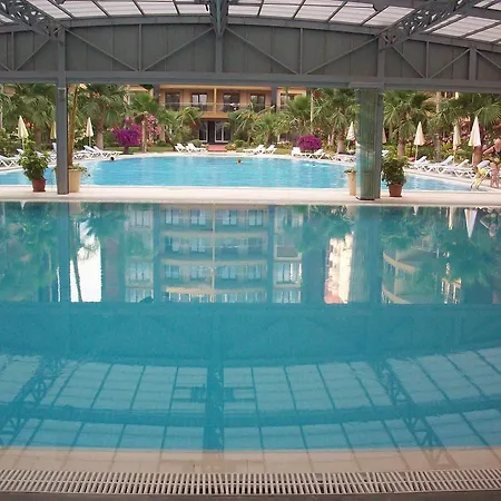 Violet Alanya