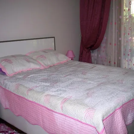 Violet Alanya