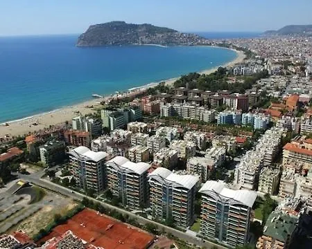 Violet * Alanya
